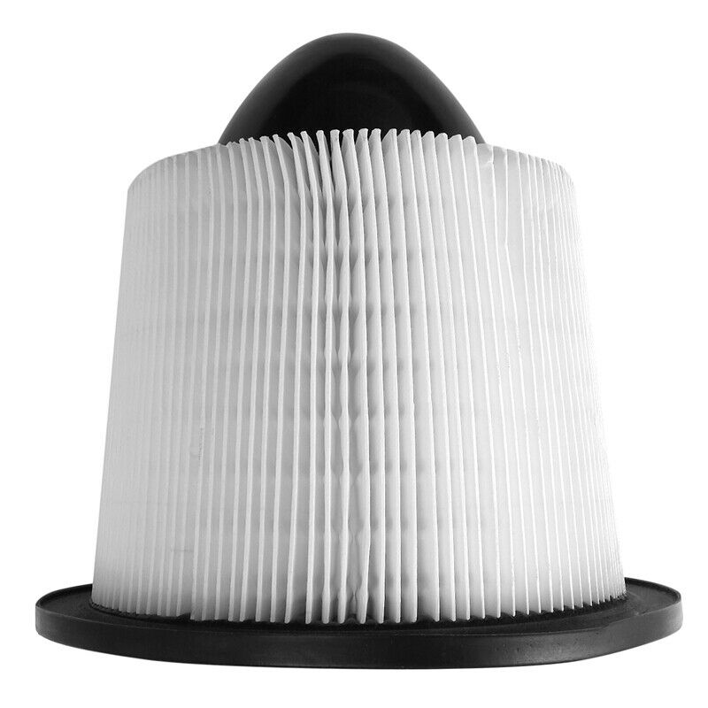 Air Filter F50Y9601A F50Z9601BA F6ZZ9601AA F50X9601AB for Ford E-250,F-150,FM8S6