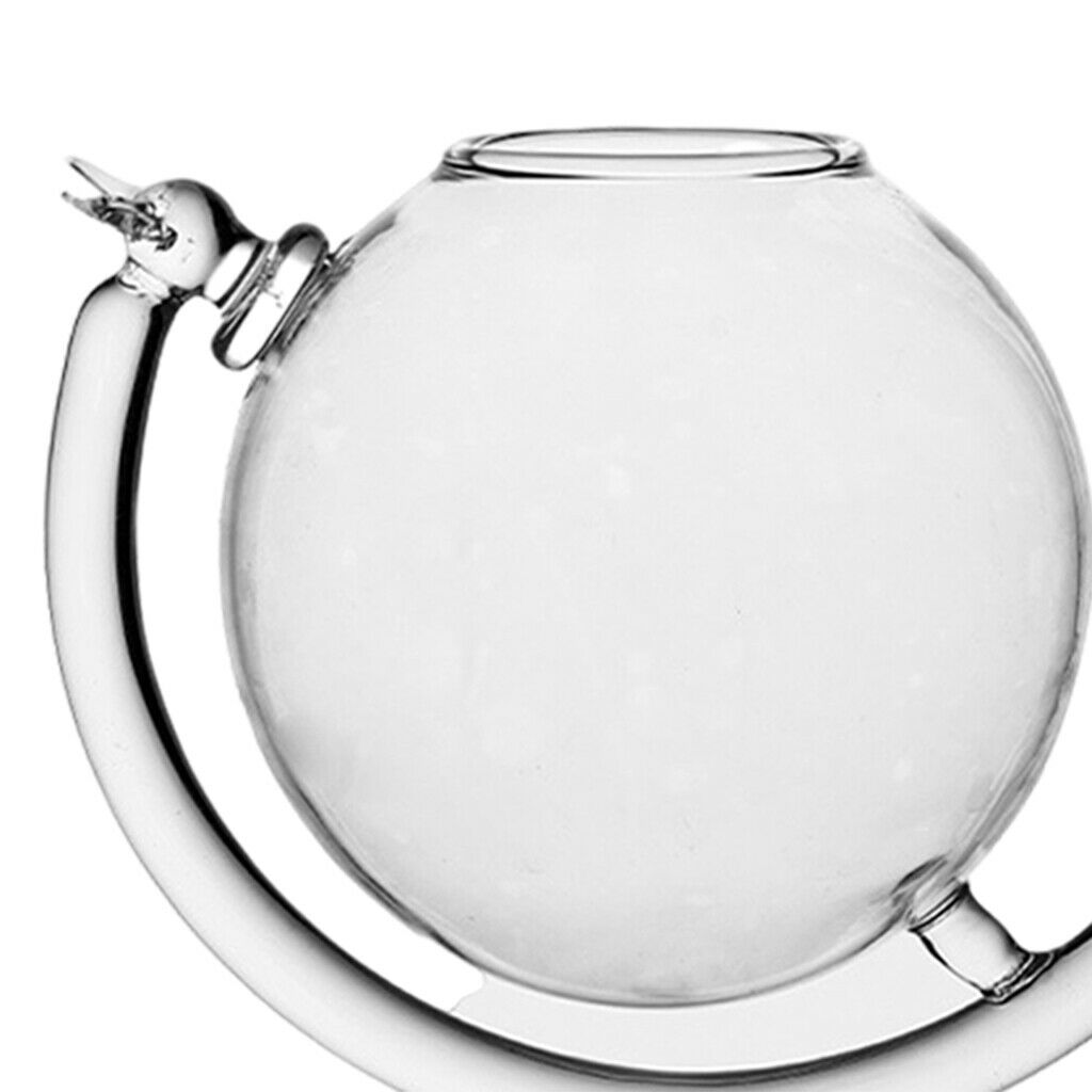 Creative Amazing Cocktail Glass Globe Shape Reusable Parties Houseware