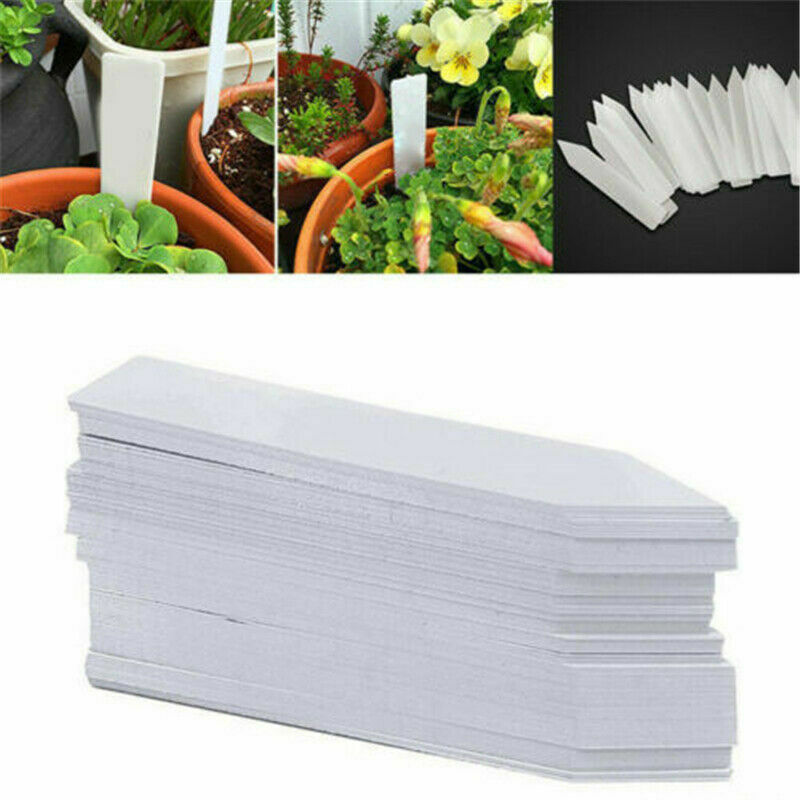 100x PREMIUM White Plastic Plant Stakes Markers Plant Labels Nursery Tags