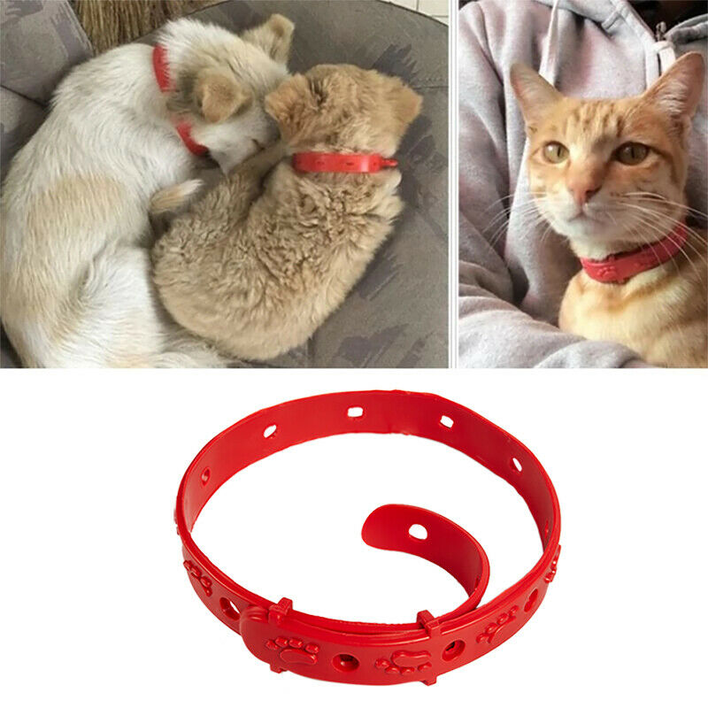 Cat Anti Flea Mite Tick Collar No Flea Grooming Tool Quadruple Removal Fle Pb
