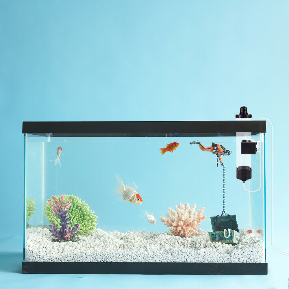 Brine Shrimp Eggs Incubator Artemia Hatchery Kit Aquarium Fish Tank Hatch Tool