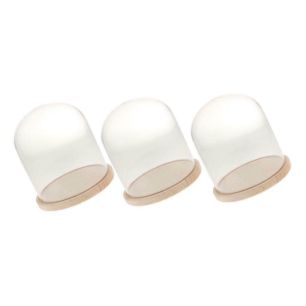 3pcs Glass Cloche with Wooden Base Retro Display Bell Jar Cover Dome 10x13cm