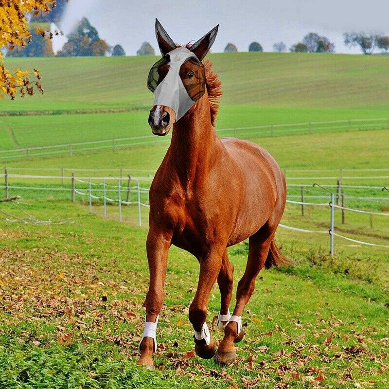 Pet Supplies Horse Face  Horse Face Mosquito Hood Anti-Mosquito Fly  EquestrR6A5