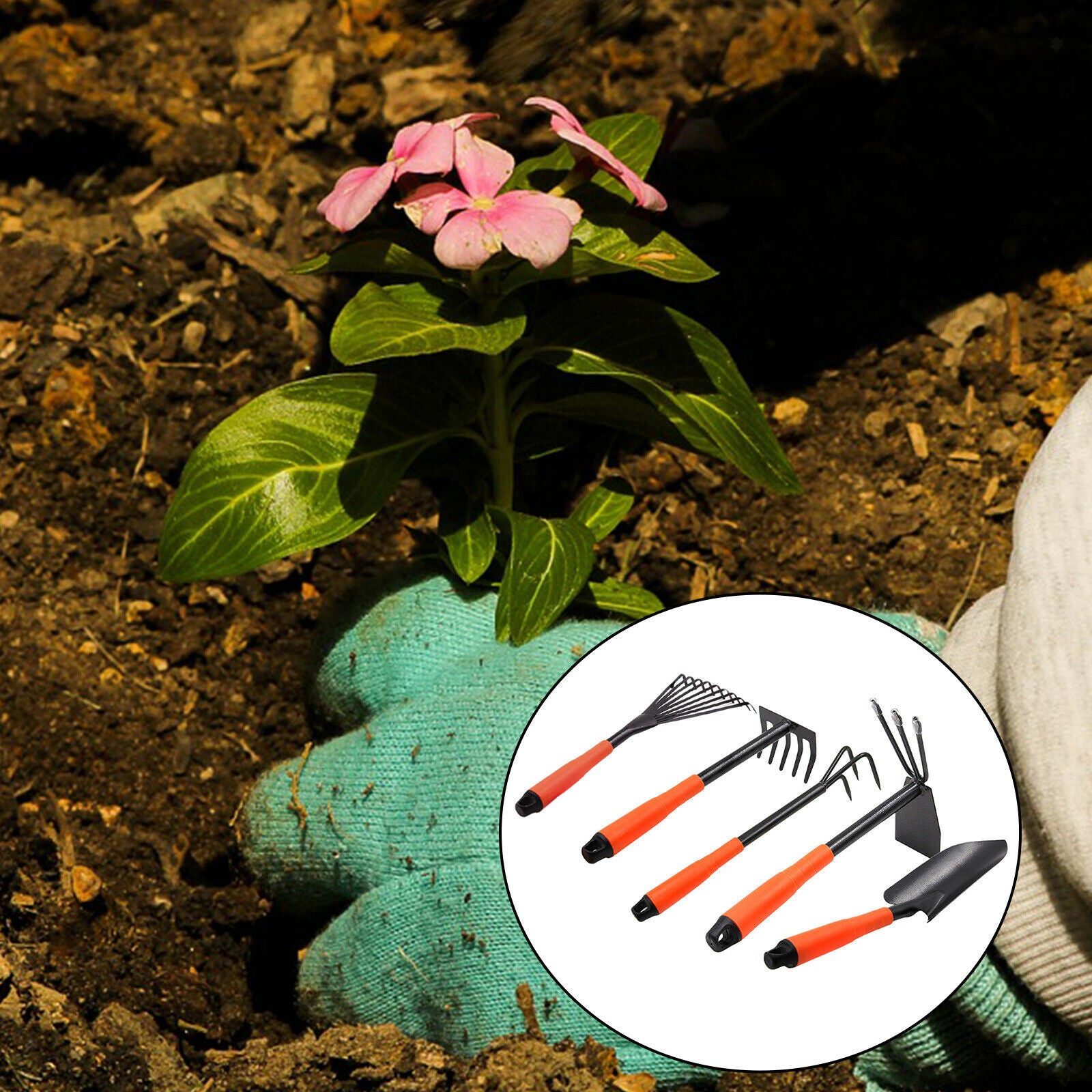 5-piece garden tool set Double hoe 3 tines Spade Aerate Loosen