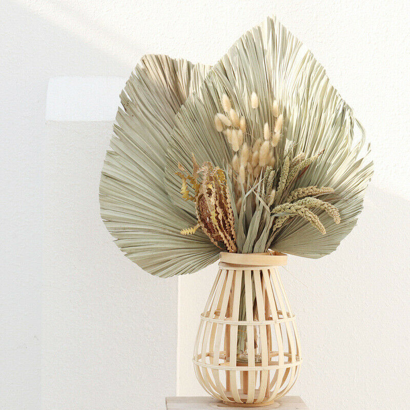 Natural Dried Flower Palm Leaf Fan Plant Party Wall Hanging Wedding Decor DIY