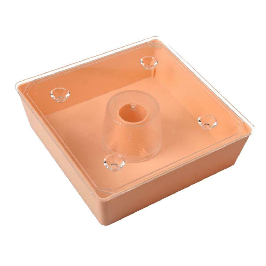 Square 2 Litres Beehive Top Feeder Bee Feeder High-quality Lightweight