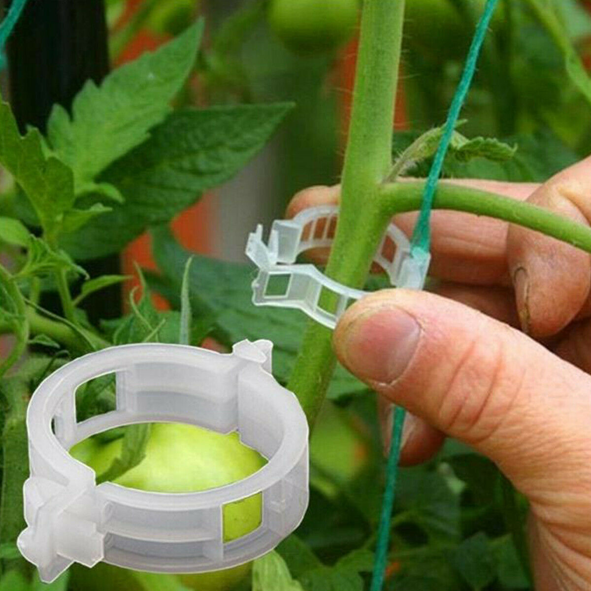 50pcs Plant Support Clips Clamps Garden Tomato Vine Greenhouse Vegetables Tie