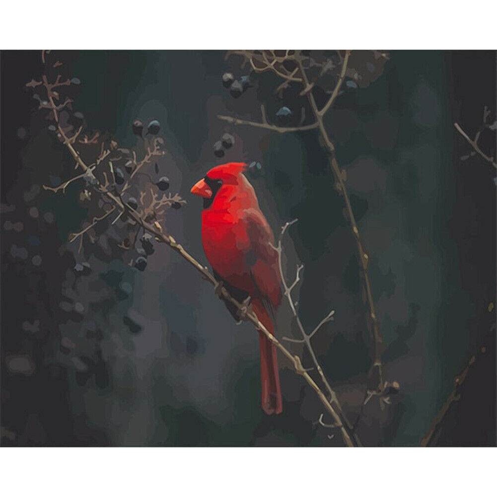 DIY Oil Painting By Number Kit Redbird Hand Painted Craft Drawing Decor 50x40cm
