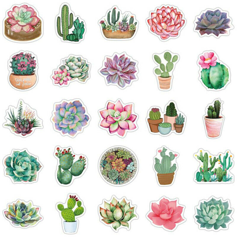 50Pc Cartoon Succulent Cactus Plant Stickers Luggage Guitar Graffiti Stic.l8
