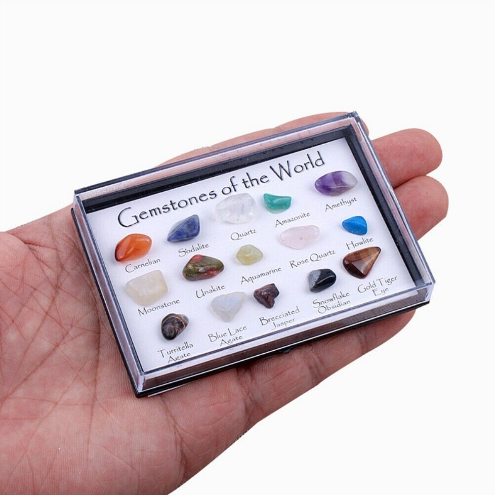 15 Pcs Mini Natural Crystal Agate Stone Rocks Minerals Fossils for Kids Teaching