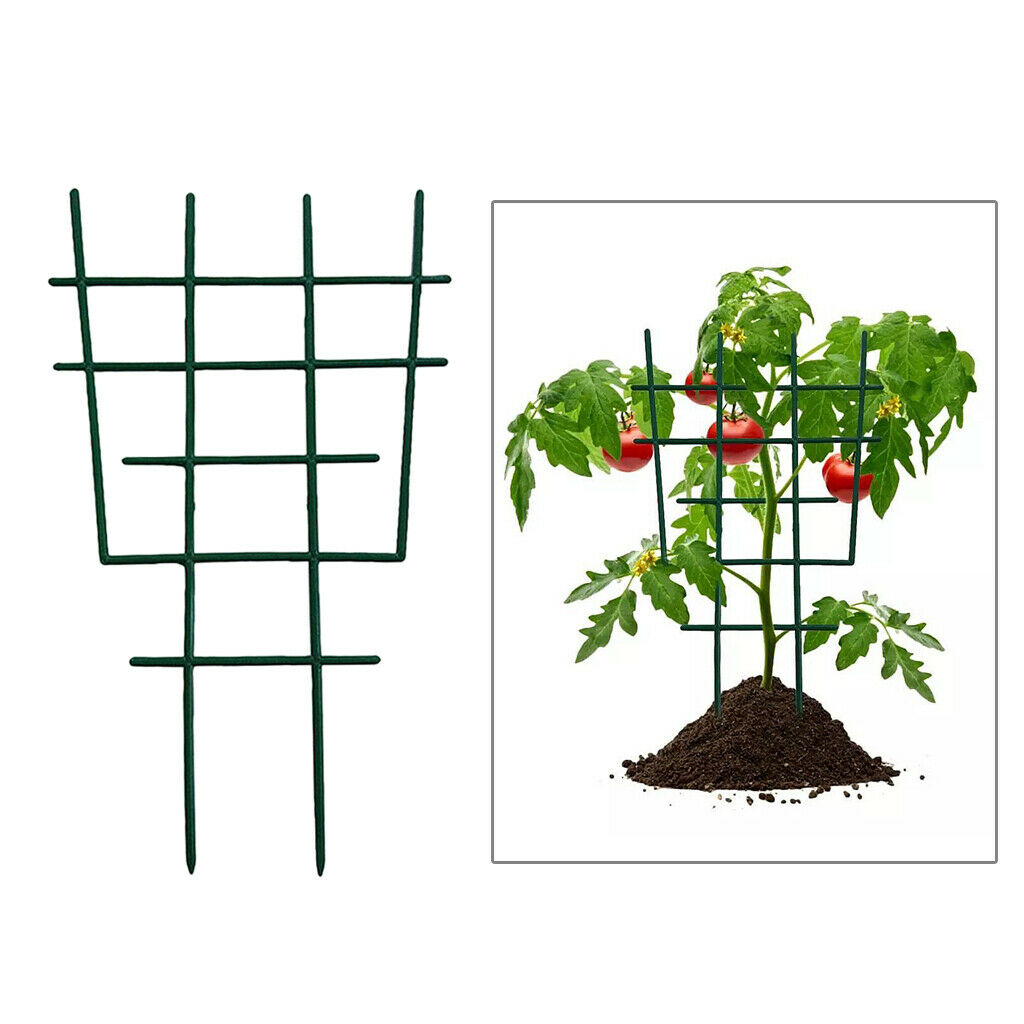 Mini Garden Trellis Flowers Vegetables Tomato Support for Climbing Plant