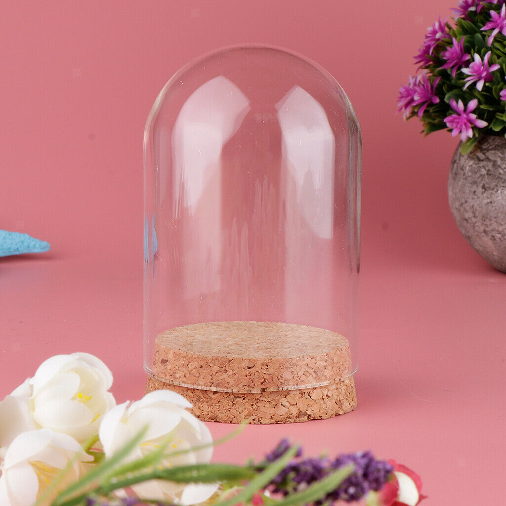 10Pcs Mini Glass Hemisphere Cover Dome Cabochon w/ Cork Table Decor Craft