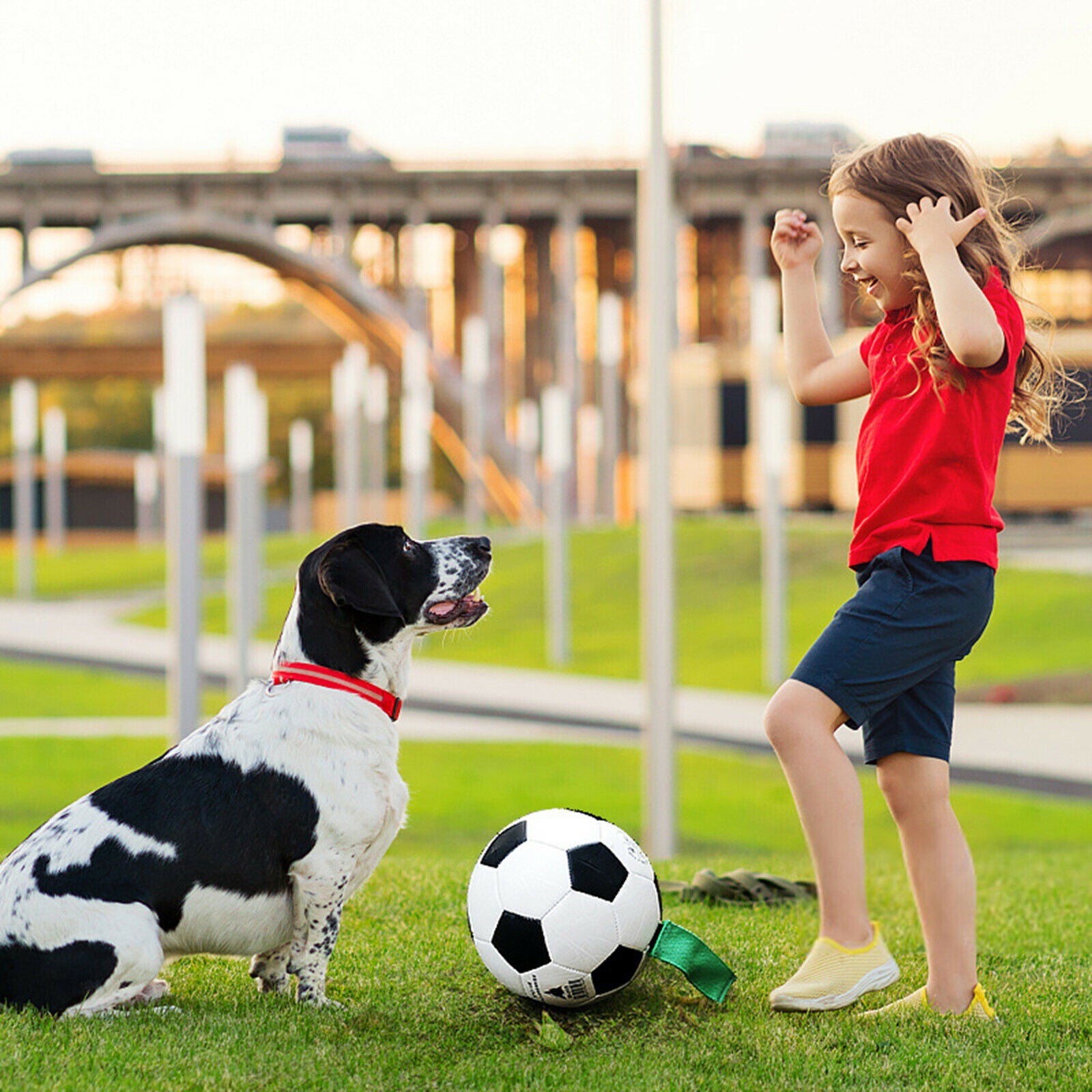 Pets Dog Soccer Interactive Ball with Grab Tab Easy Grip Lawn Swim Pool