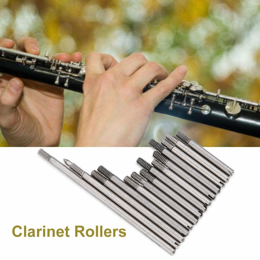 Set of Clarinet Repair Screw Parts Maintanance Tools Kit Clarinet Accessories