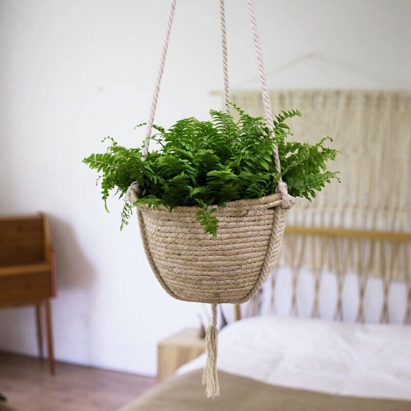 Natural Seagrass Hanging Planter Basket, Eco-Friendly Indoor Plant Pots, PlaU6K1
