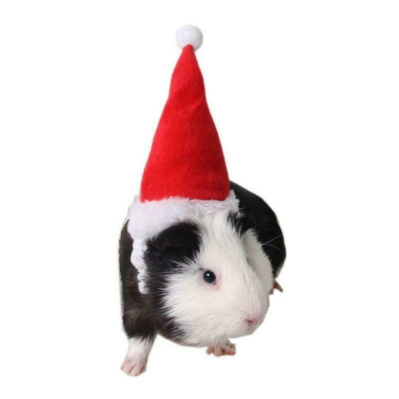 Small Animals Pet Santa Claus Hat Rabbit Hamster Guinea Pig Rats Christmas Cap