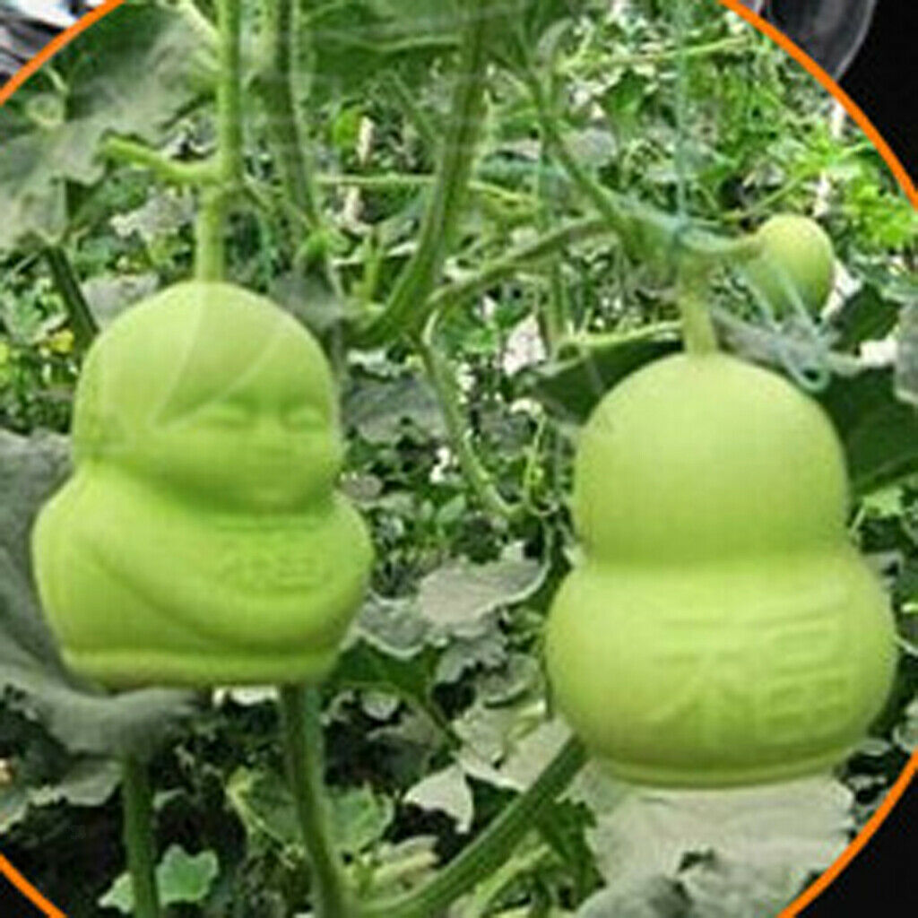 4PCS Buddha And Fuwa Mold For Fruit Vegetable