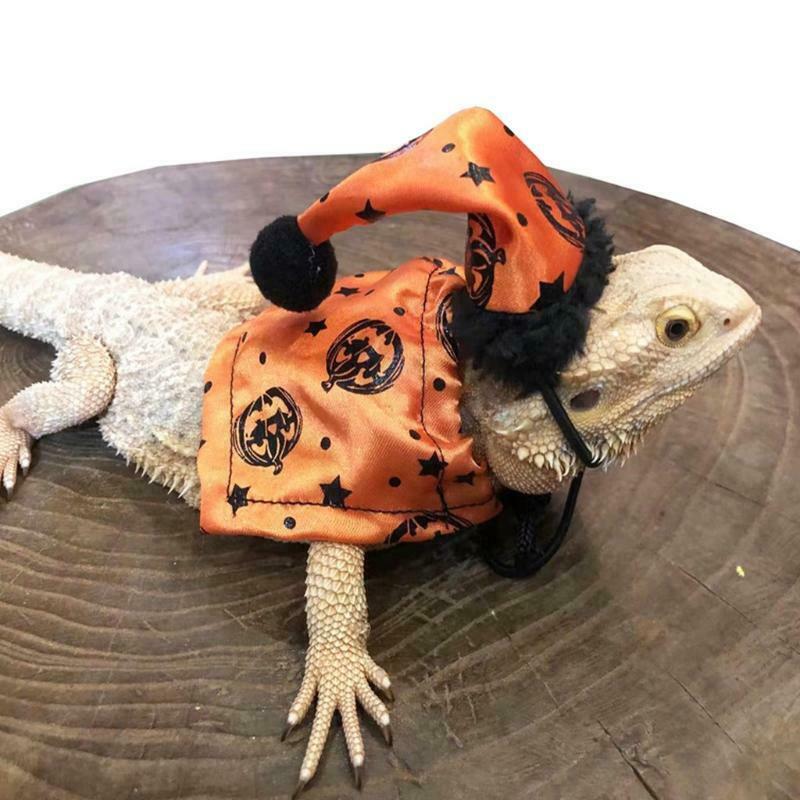 Bearded Dragon Costume Set Orange Hat and Cloak Lizard Clothes Resizable