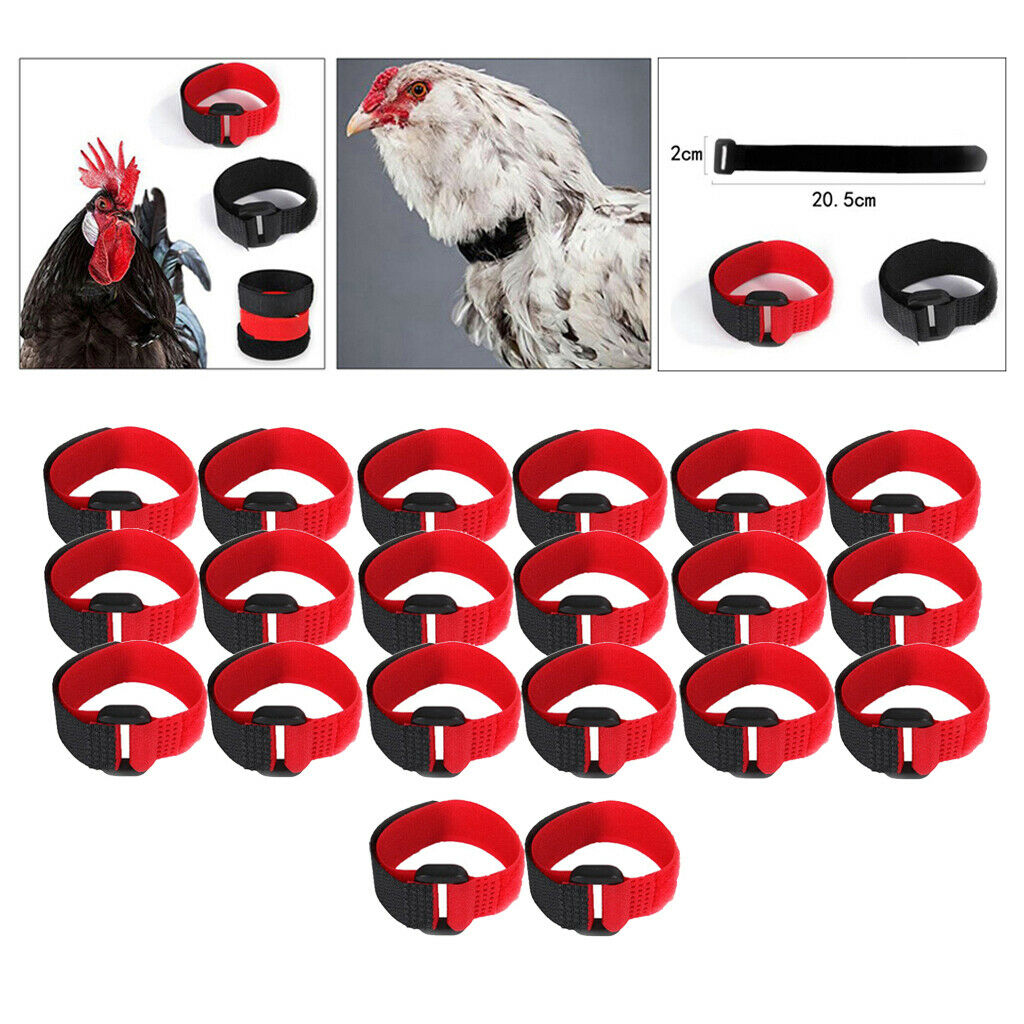 20 Pieces Rooster Collar Prevent Chicken from Screaming for Poultry Rooster
