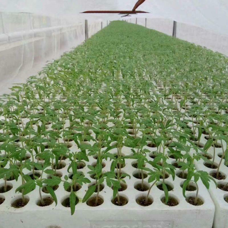 20x Cylinder Rockwool Plant Hydroponic Grow Media Soilless Cultivation Compress