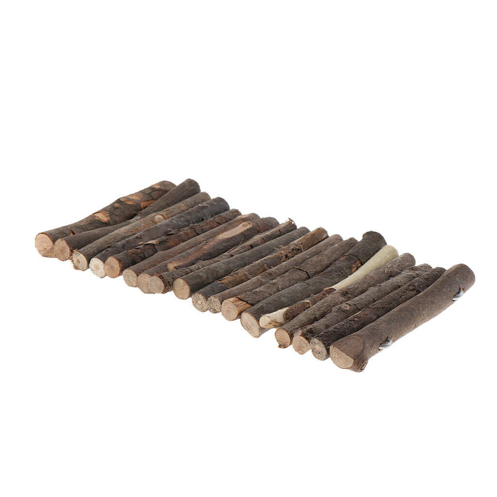 Reptile Turtle Lizards Basking Platform Great for Reptile Habitat Tank