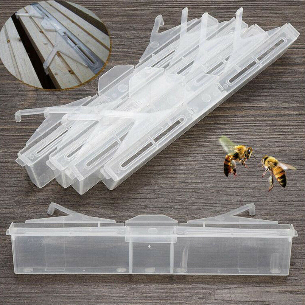 Clear Beetle Traps Baitable Reuse Beekeeping Tools Supply Friendly 17x3cm