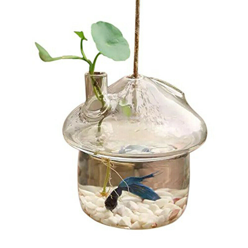 Mushroom-shaped Hanging Glass Planter Vase Rumble Fish Tank Terrarium ContaineD1