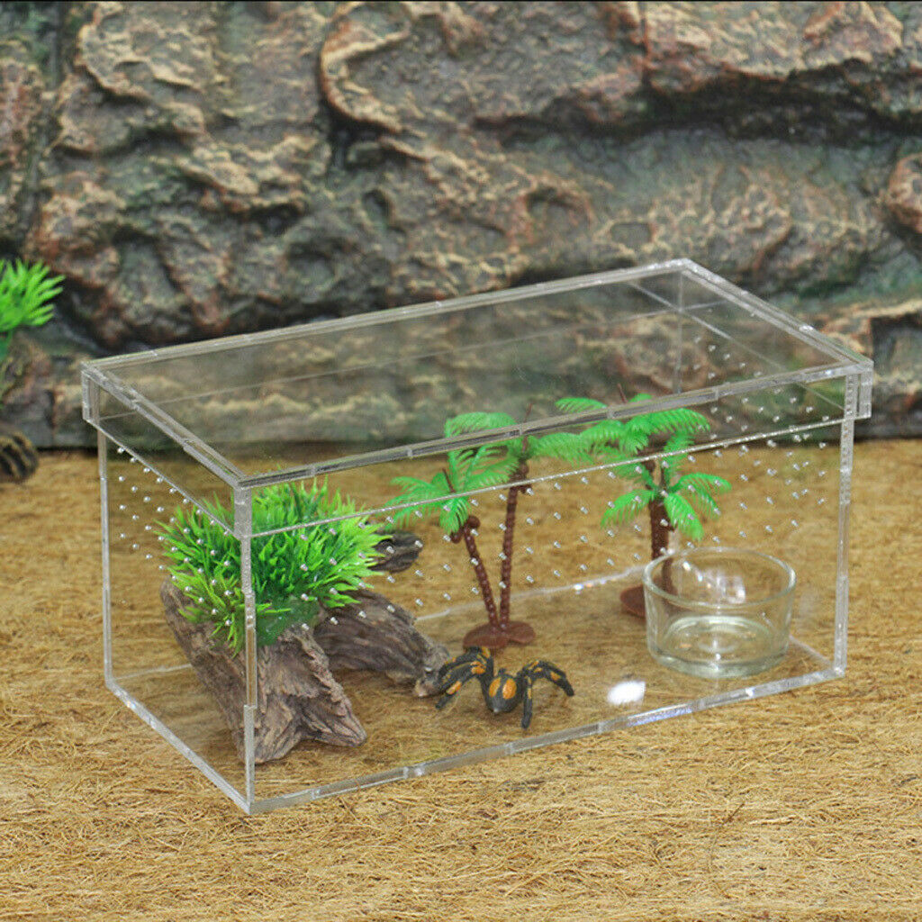Acrylic Reptiles Terrarium Container Ideal for Reptiles or Amphibians ,Clear,