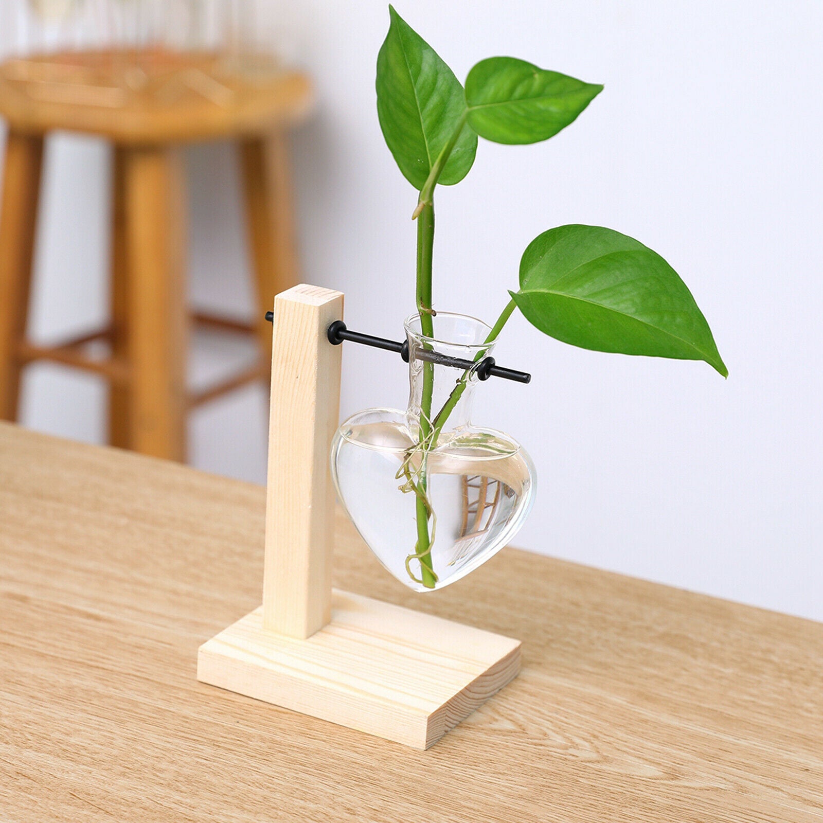 Glass Vase with Wooden Stand Frame for Hydroponics Plants Desktop