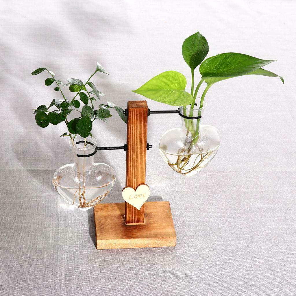 Glass Terrariumin Heart Shaped Test Tube Vase in Wooden Stand Planter for