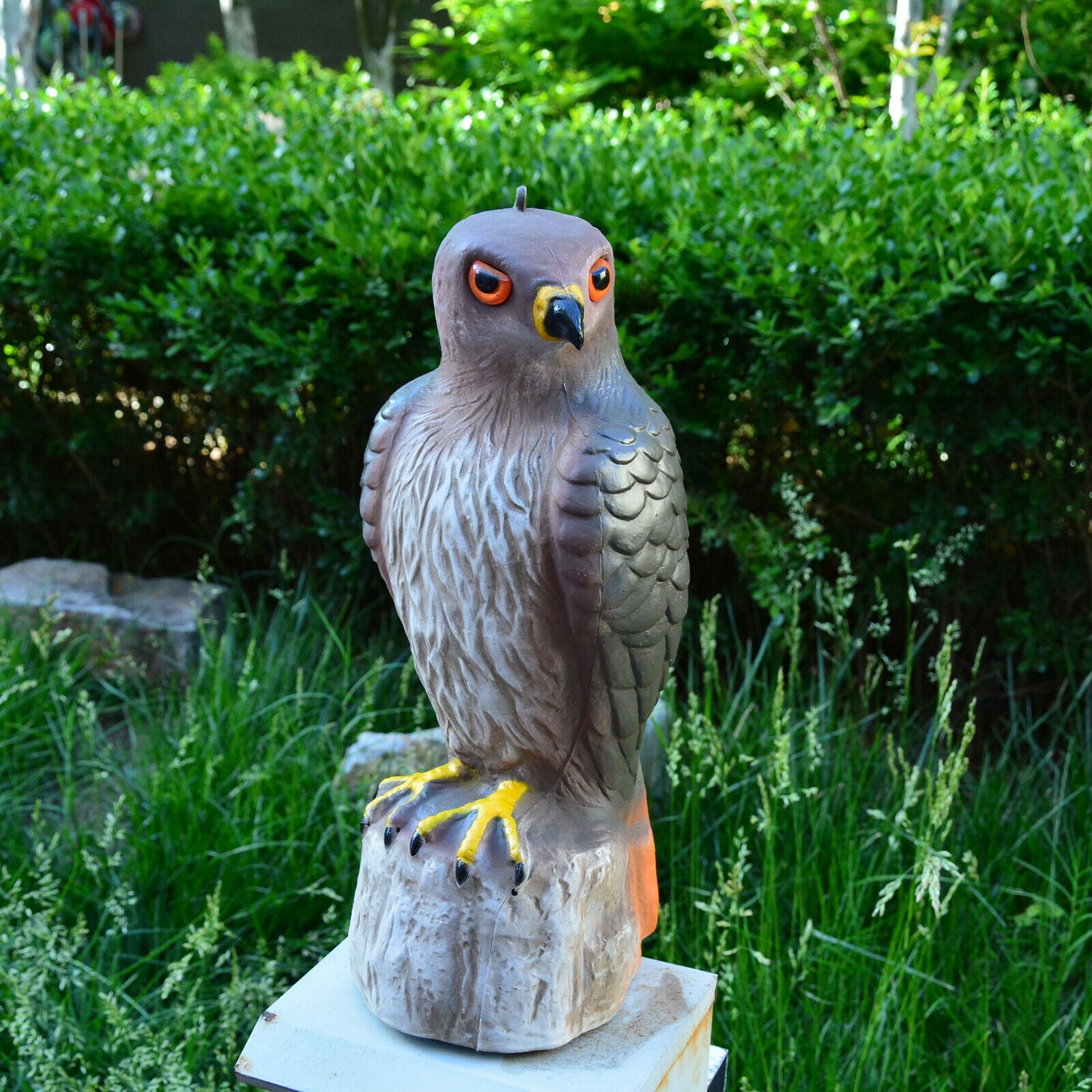 Hawk Hunting Bird Scare Repellent Decoy Statue Garden Ornamental Pest Help
