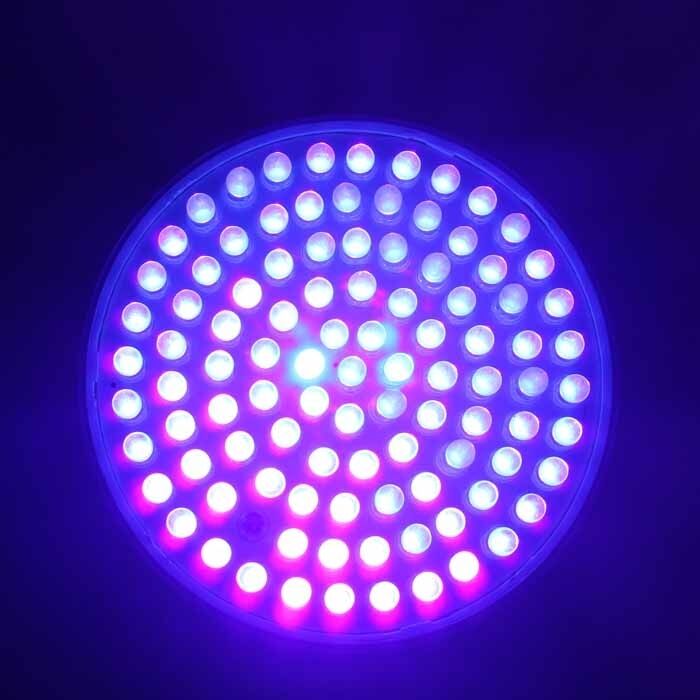 Ultra Bright E27 UV Ultraviolet Color Purple Light 100LED Lamp Bulb 220V  Fine