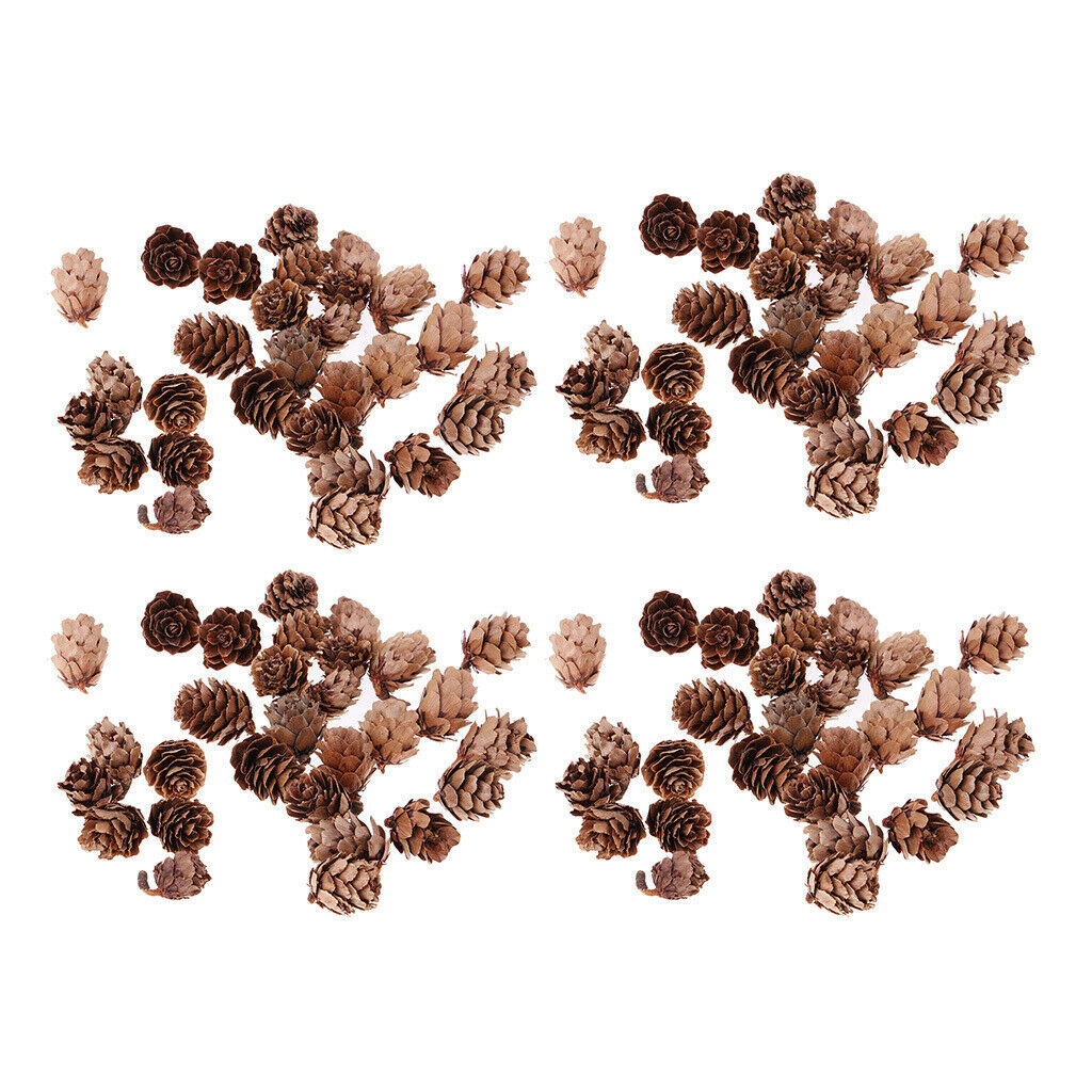 120 Bulk Natural Ponderosa Pine Cones Christmas Decorations Pine Cone Crafts