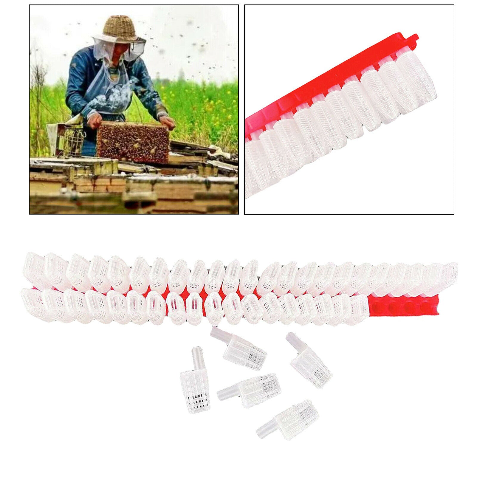 46x Professional Plastic Queen Bee Moving Isolator Trap Cage Case Beekeeping