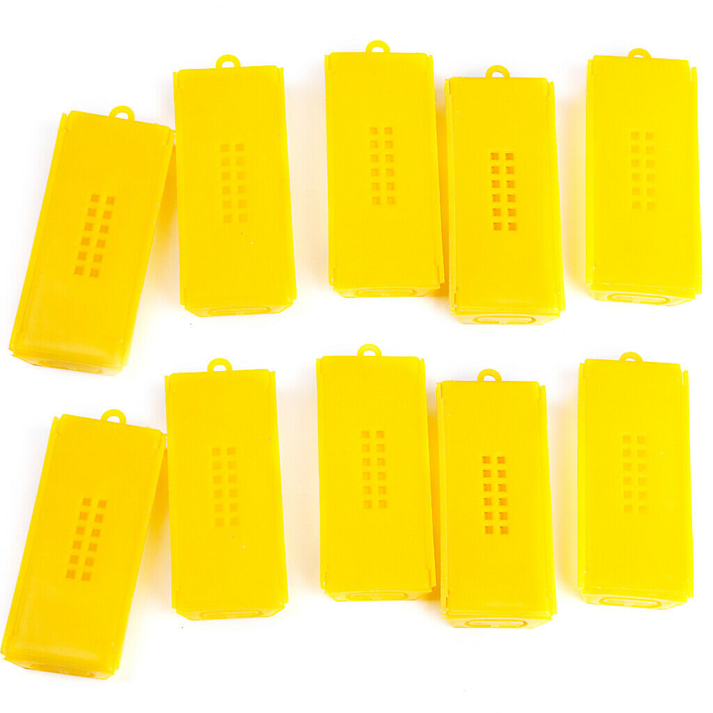 10 Queen Bee Butler Cages with Beekeeping Tools