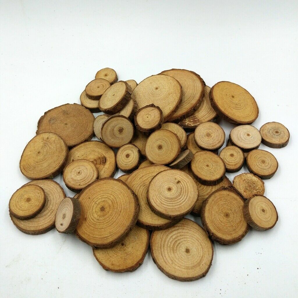 50pc Wood Tree Slices Disc Pine Tree Log Plaques for Drawing Paintings 2-4cm