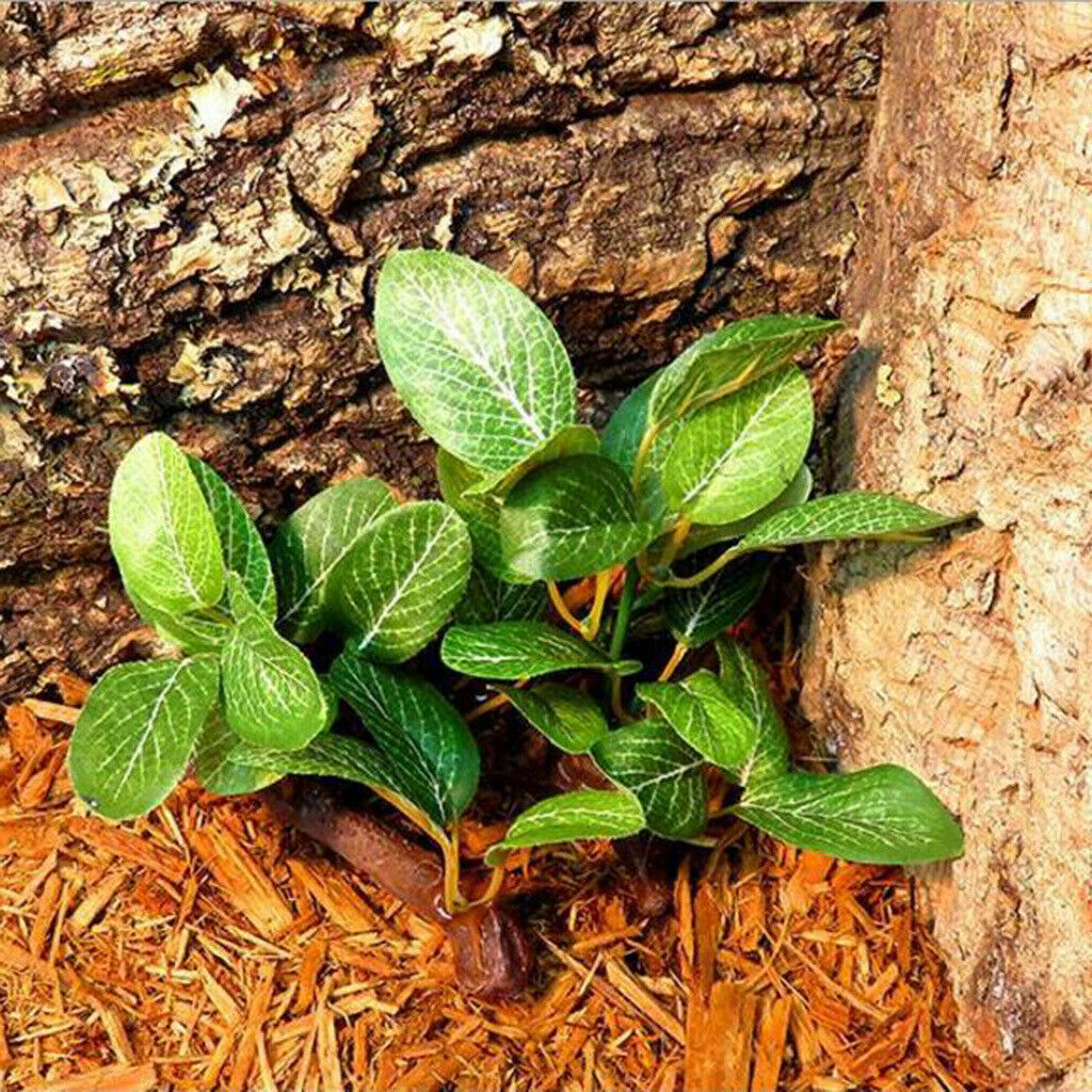 2pcs Reptile Vivarium Plants Terrarium Plants For Amphibians Habitat Decor
