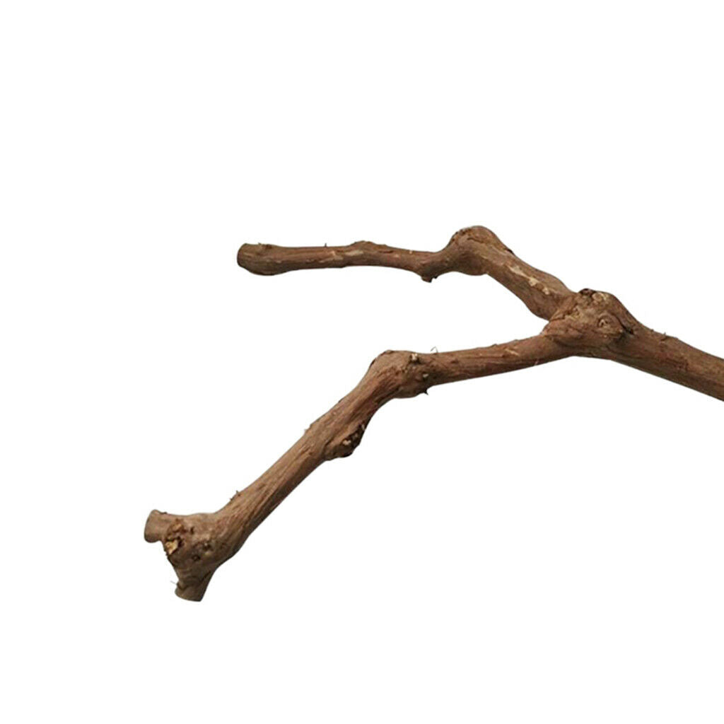 2X Wood Parrot Stand Tree Branch Toys Perches Cage Accessories Grinding A
