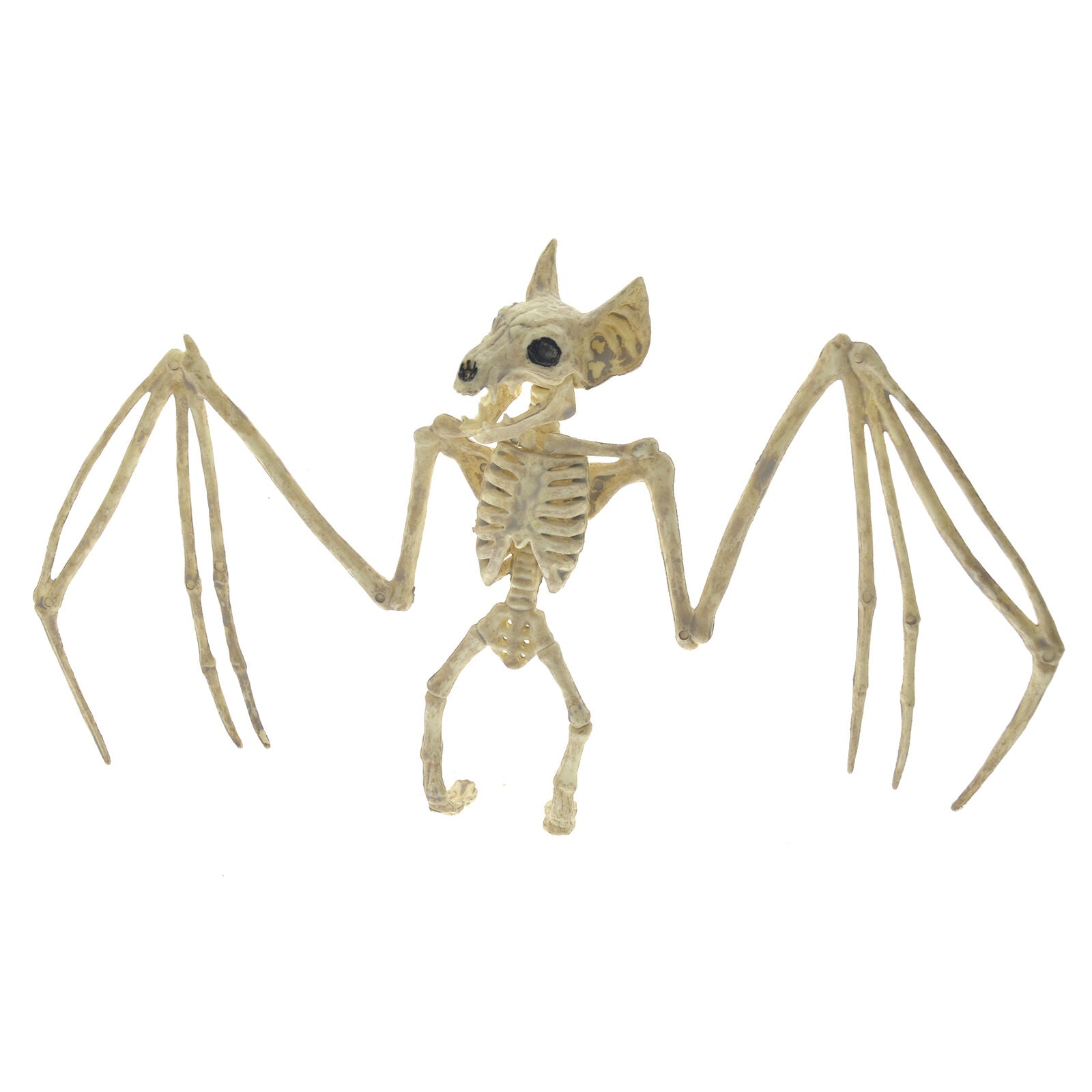 11.8" Creepy Skeleton Bat Bonez Halloween Scene Party Scary Decor Props AU GIFT