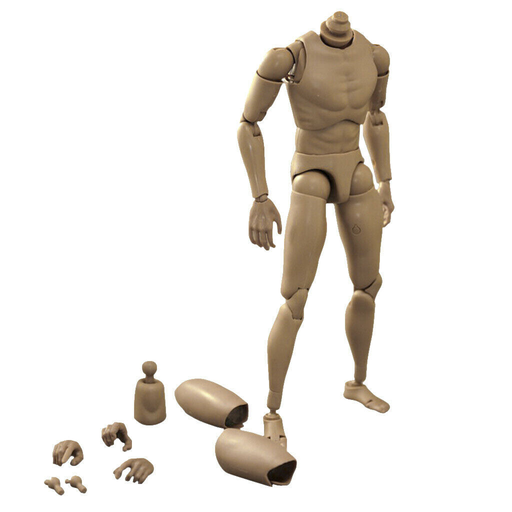 1:6 Action Man Male Semaless Rude Body Carving Skeleton Hobbyists