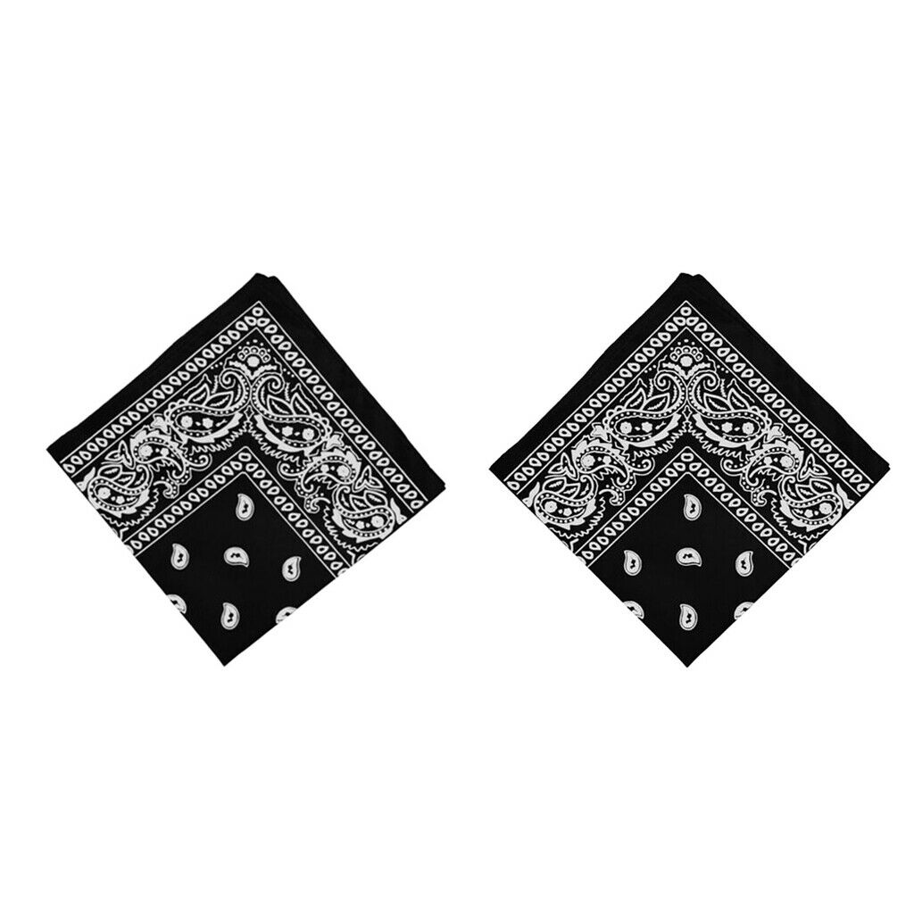 2Pcs Unisex 100% Cotton Paisley Print Paisley Bandana Head Wrap Hair Band