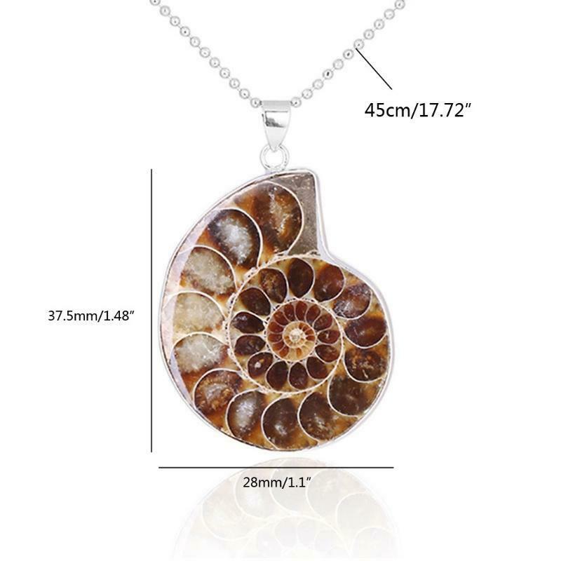 Natural Ammonite Fossils Pendant Necklace Fossils Stone Pendant Fashion Jewelry