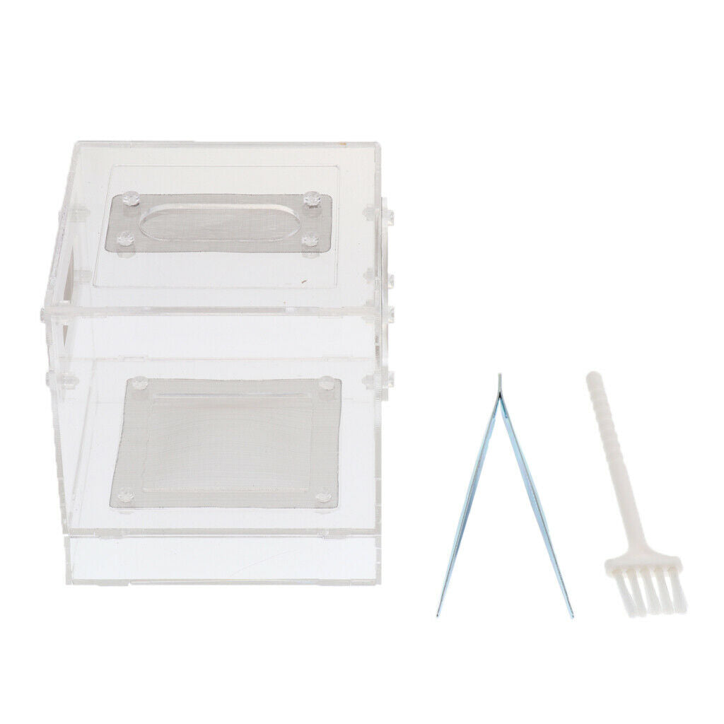 Small Reptile Lizard Spider Scorpion Insect Vivarium Feeding Rearing Box