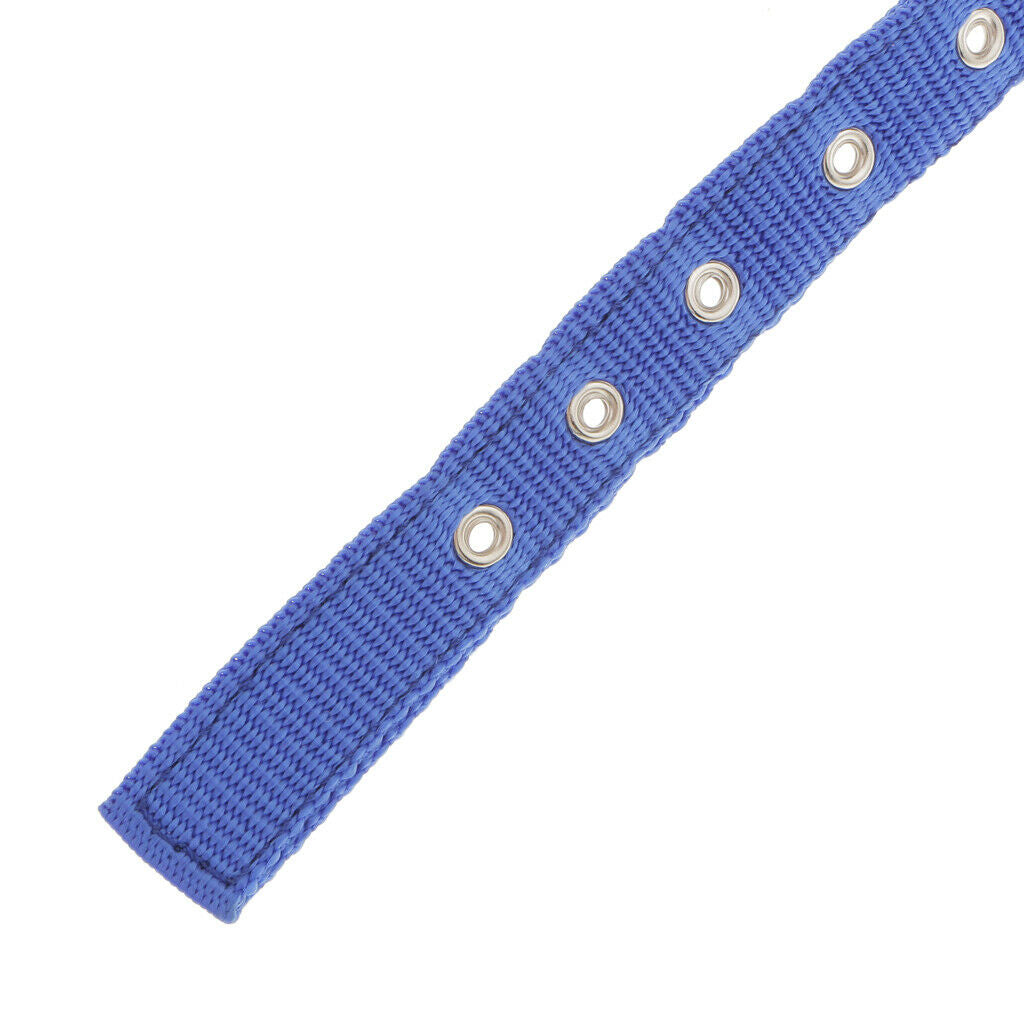 Adjustable Padded Nylon Pet Puppy Dog Basic Collar Safety Neck Strap Blue_S
