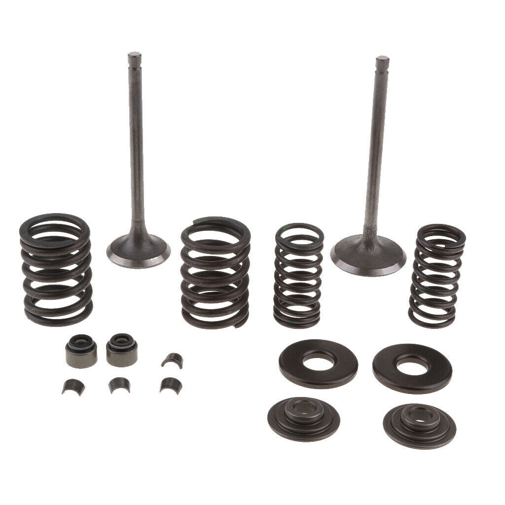 250CC Engine Valve Kit Scooter Engine Valves Engine Valve Springs For Scooter