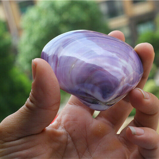 1 Piece Fine Polished Shell Purple Clam Seashells Shells DIY Crafts Decor HH6969