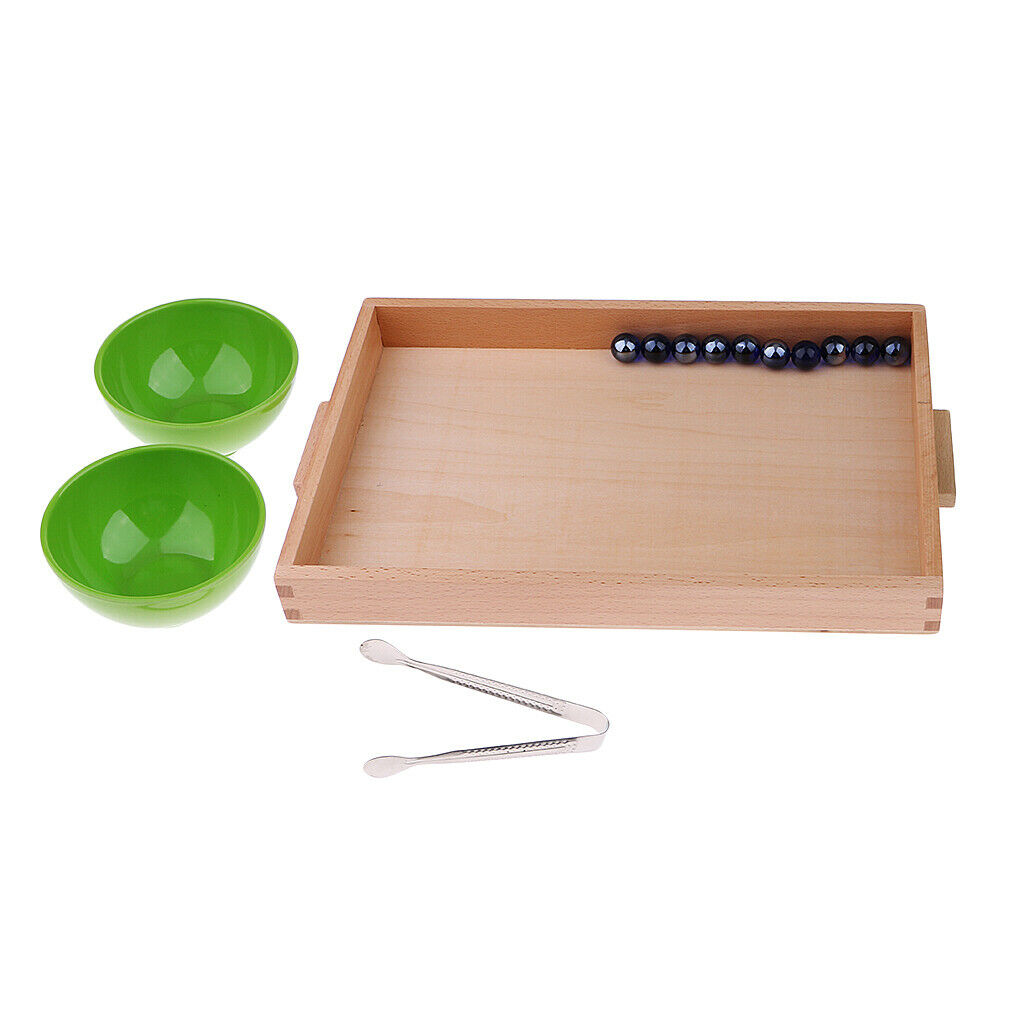 Montessori Transferring Activity Set for Children Kids Educational Toys