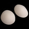 3 Pairs Breathable Oval Shape Soft Sponge Bra Pads Inserts for Top Yoga