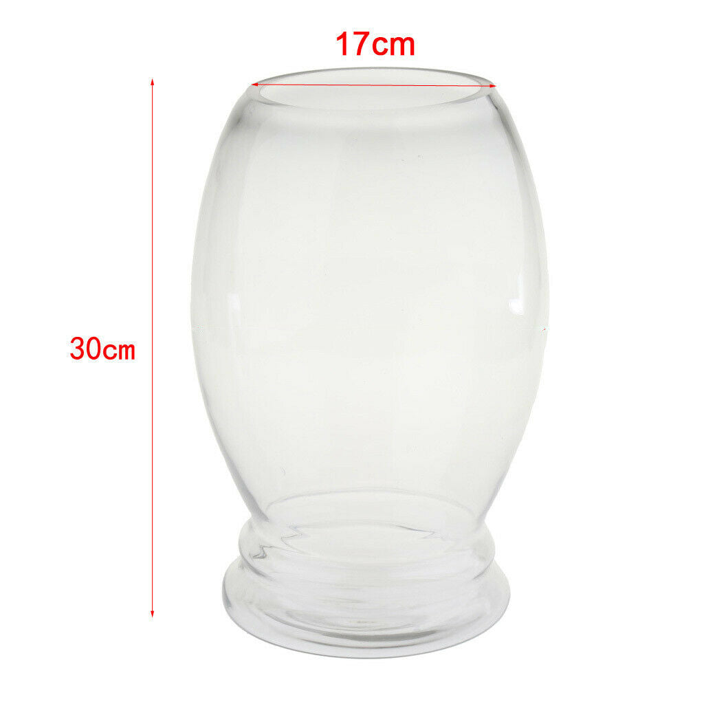 Transparent Glass Aquaponic Tank Aquarium Bowl Desktop Decoration 2