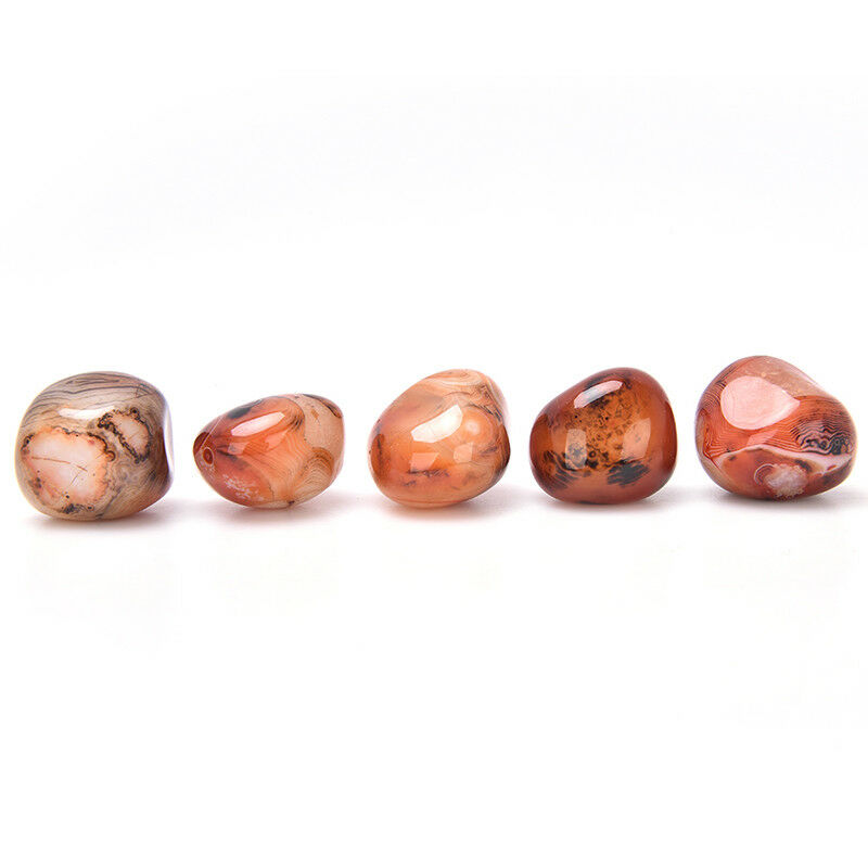 5Pcs Natural Banded Agate Madagascar,Xlarge Tumbled Beautiful Patterns   ZB Tt